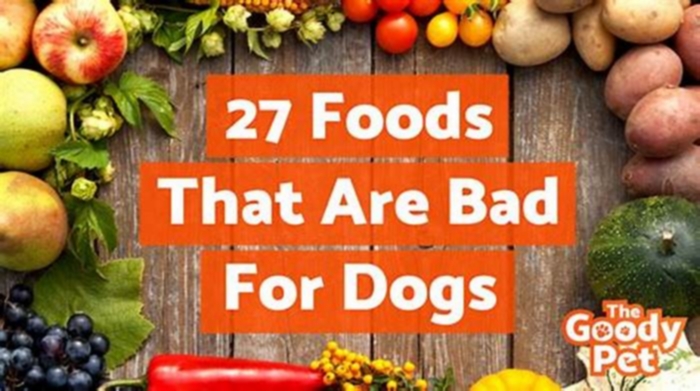 What are the top 10 worst dog foods to feed your dog?