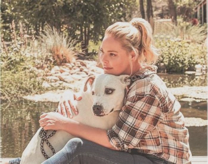 What does Katherine Heigl feed her dog?