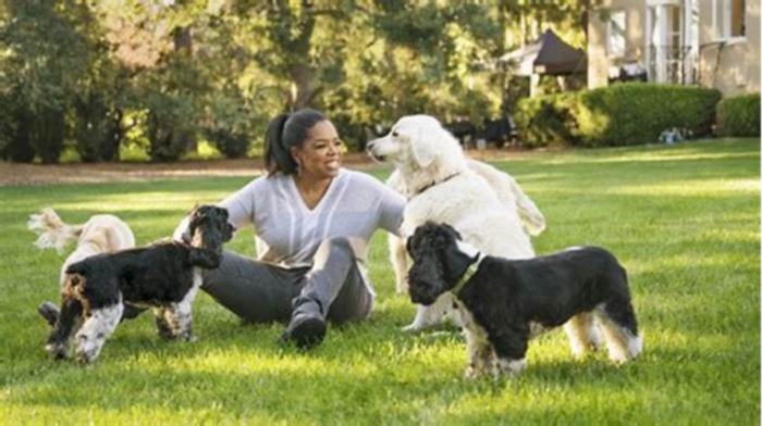 What does Oprah Winfrey feed her dogs