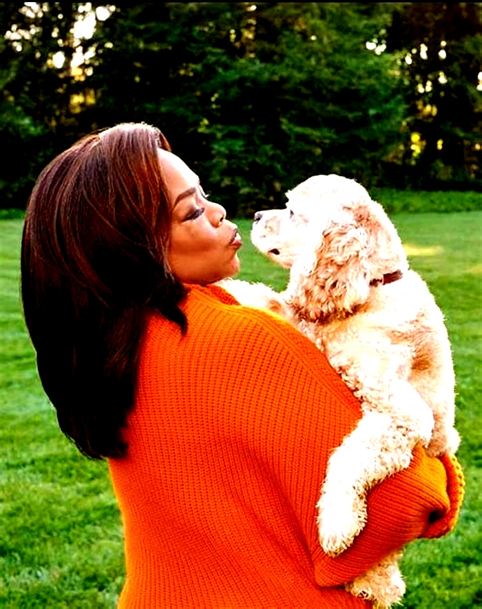 What does Oprah feed her dog?