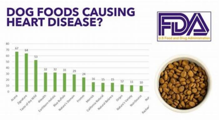 What dog food ingredients are linked to heart disease