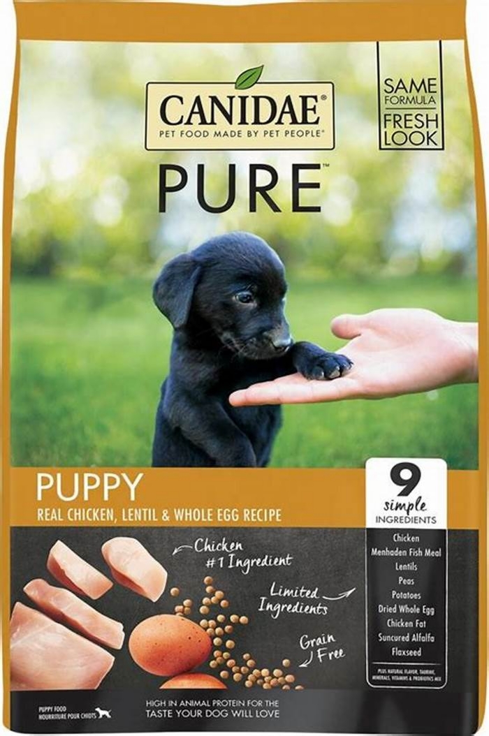 What dog food is best for puppies?