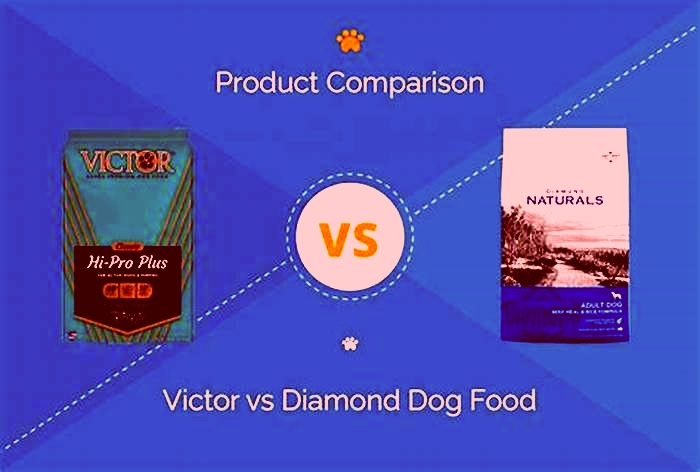 What dog food is better than Victor?