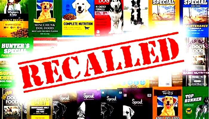 What dog food is on recall right now in 2024