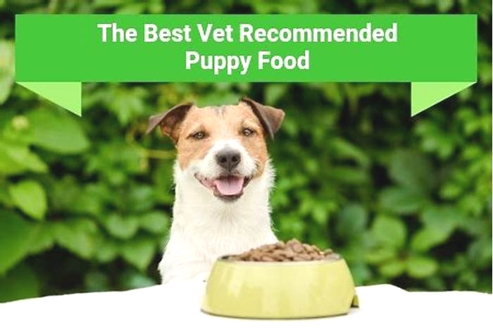 What food do veterinarians recommend for puppies?