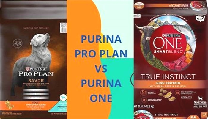 What food is better than Purina Pro Plan