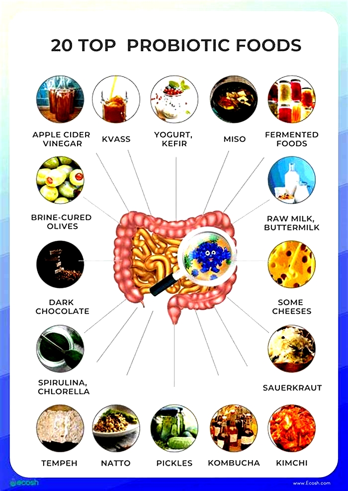 What food is highest in probiotics?