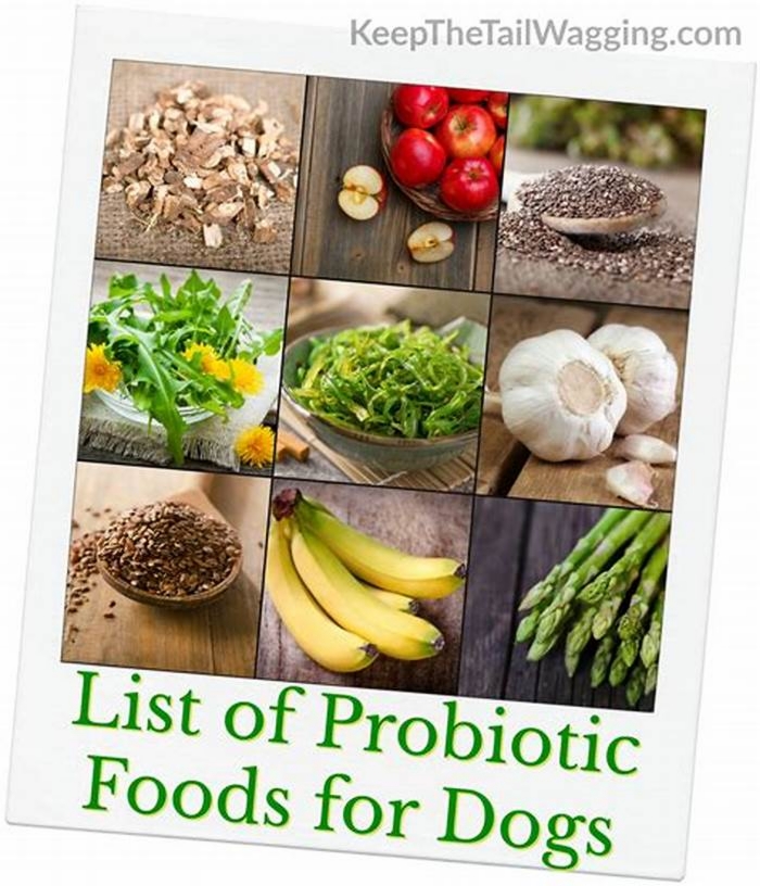 What foods are high in probiotics for dogs?