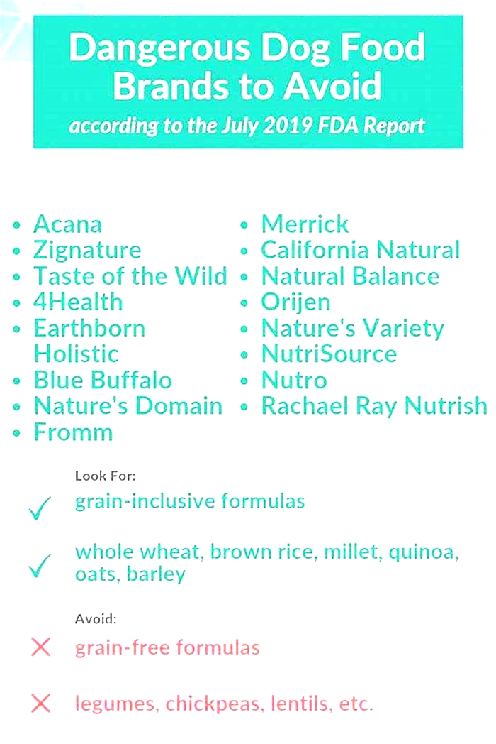 What foods cause DCM in dogs