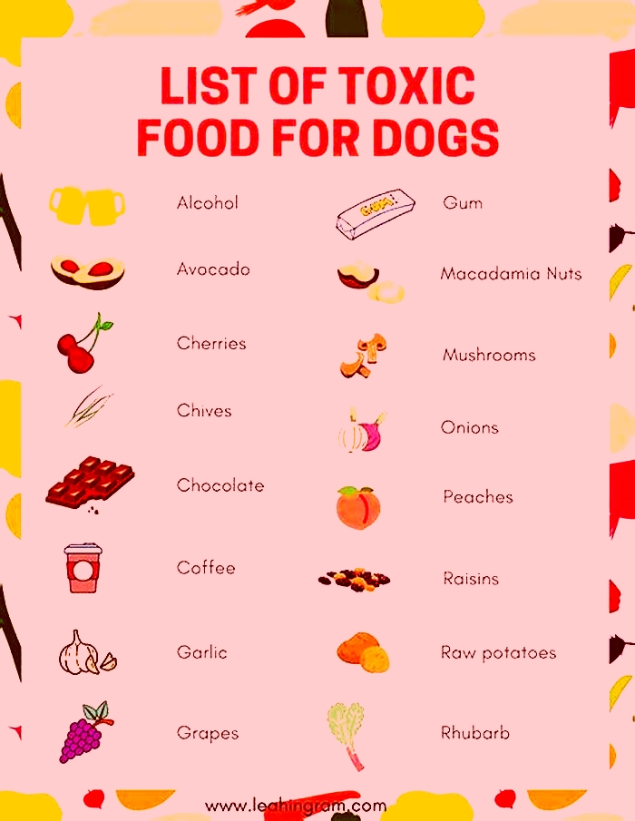 What fruit is poisonous to dogs