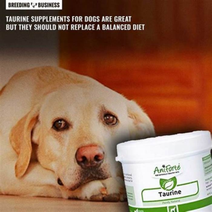 What happens if a dog gets too much taurine?