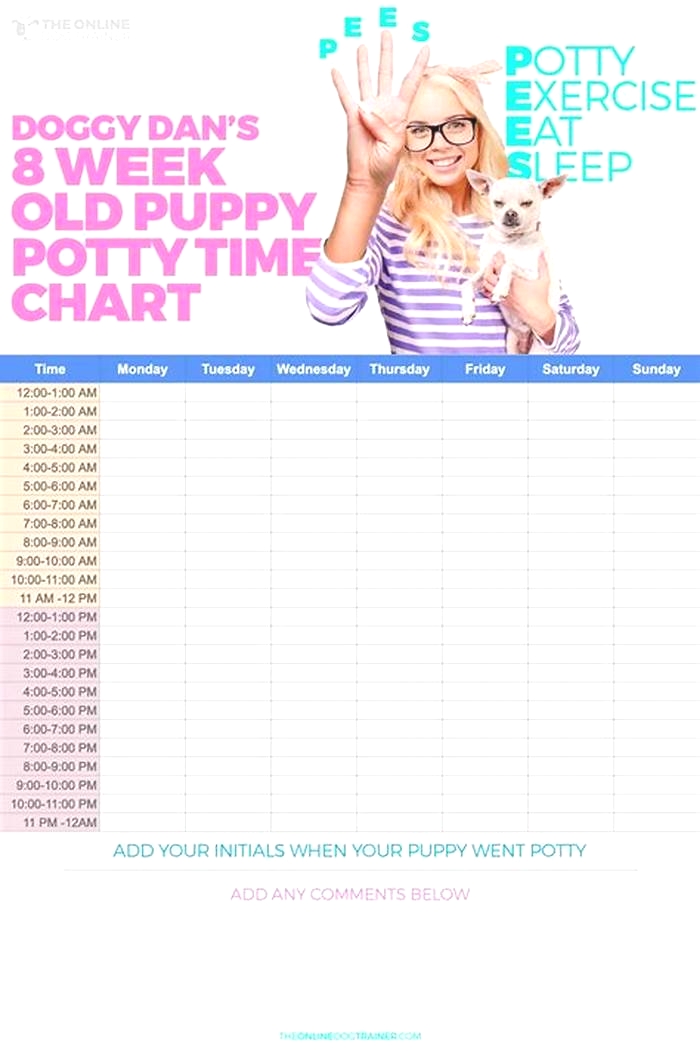 What is a good schedule for an 8 week old puppy