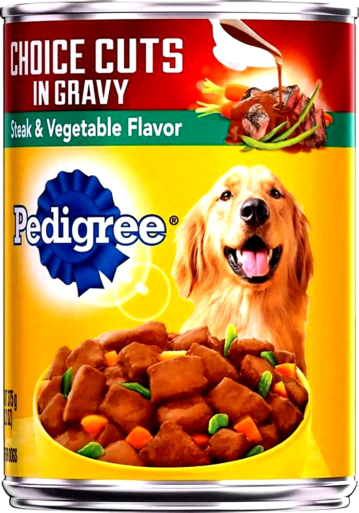 What is poor quality dog food