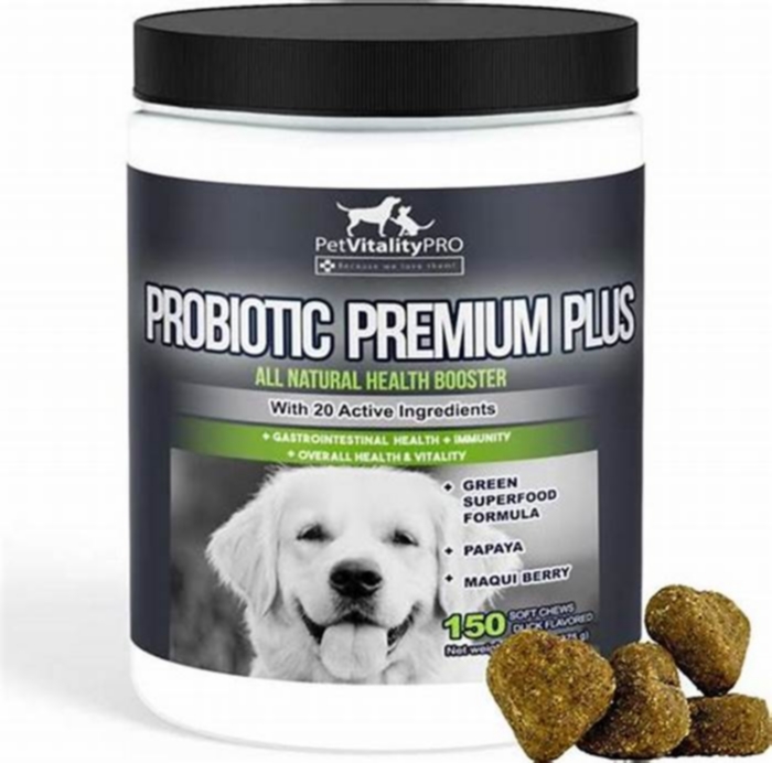 What is the absolute best probiotic for dogs?