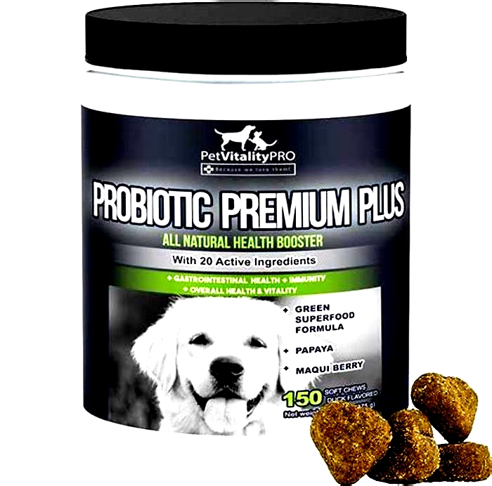 What is the best probiotic for dogs