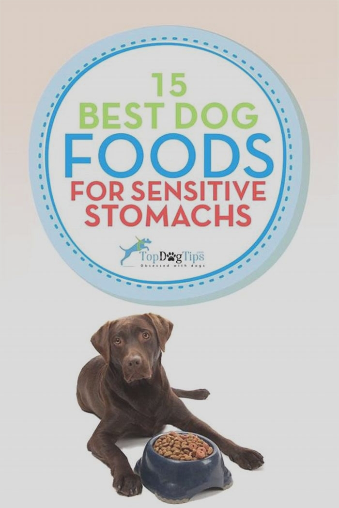 What meat is best for puppies with sensitive stomachs