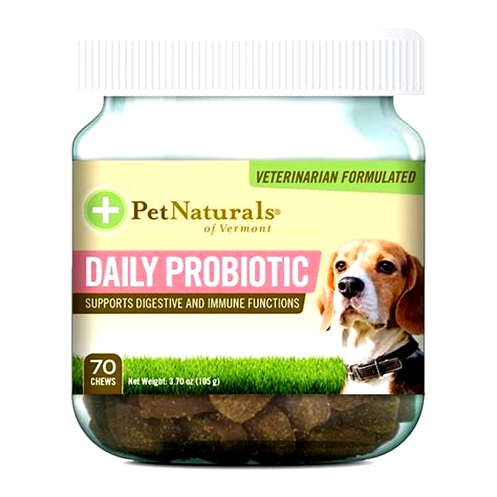 What natural probiotics can I give my dog