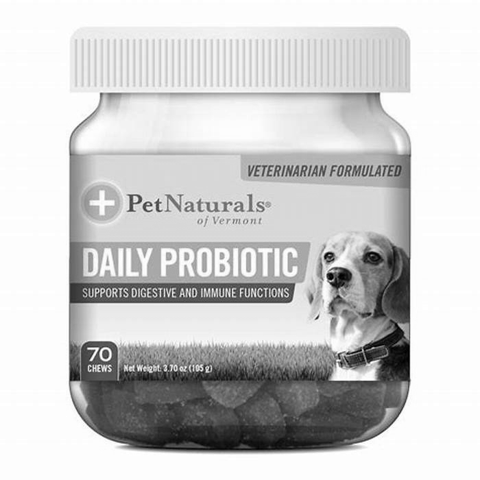 What probiotic can I give my dog daily