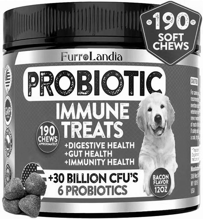 What probiotics do vets recommend for dogs