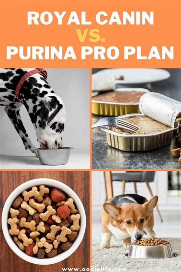 What s better Royal Canin or Purina Pro Plan