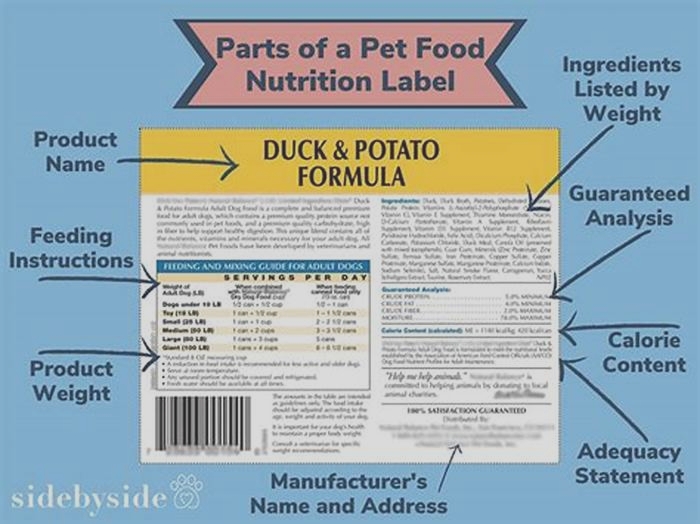 What should be the number 1 ingredient in dog food