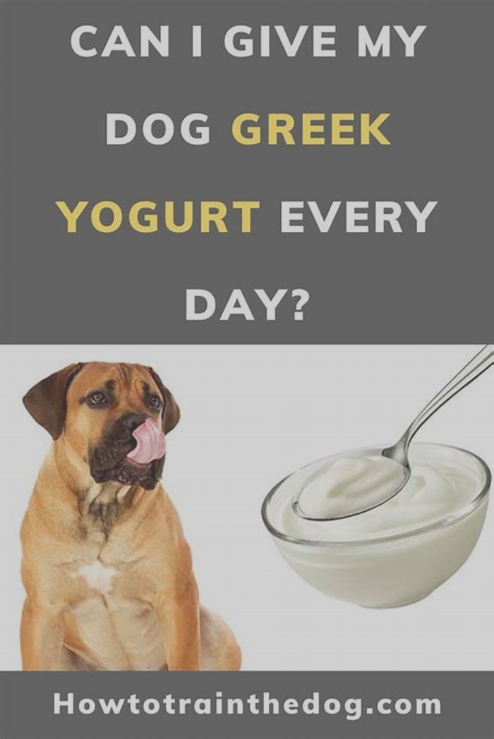 What to avoid in Greek yogurt for dogs