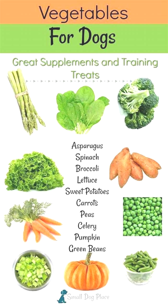 What vegetables are good for dogs gut health