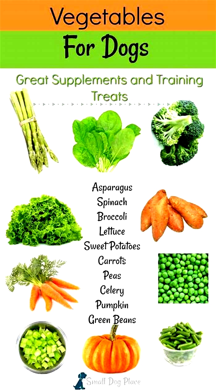 What vegetables help dogs digestive system