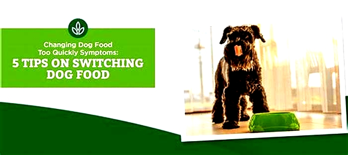 When changing dog food too quickly, what are the symptoms?