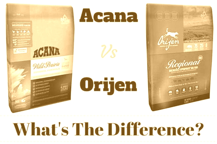 Which is better ORIJEN or ACANA