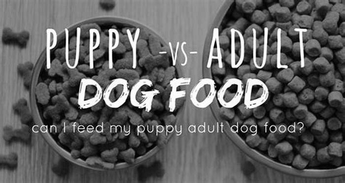 Why can t puppies have adult dog food