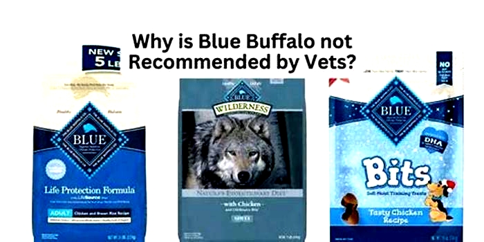 Why do vets not recommend Blue Buffalo