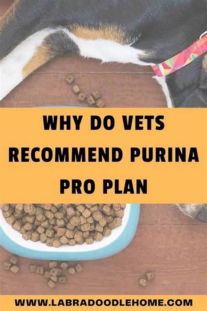 Why do vets recommend Pro Plan?