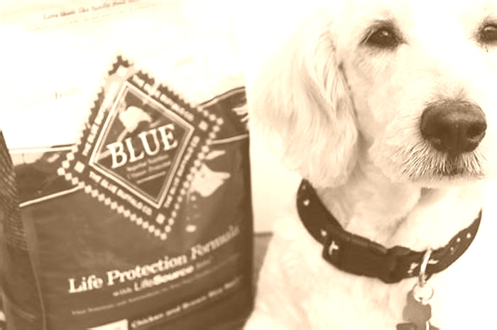 Why don't vets recommend Blue Buffalo?