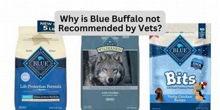 Why is blue buffalo not recommended by vets?